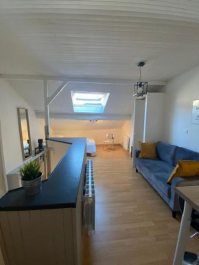 Les Cosy De Nancy - Le nid douillet - 4*